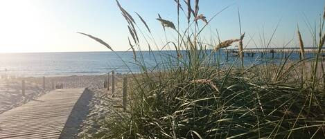 Una pasarela de madera que lleva a una playa, con hierba alta en primer plano.