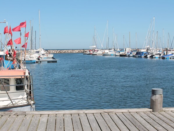Vue depuis l’hébergement