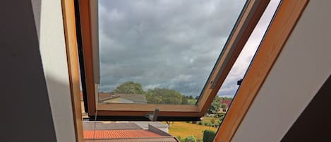 A skylight with a view of a residential area, including houses and trees.