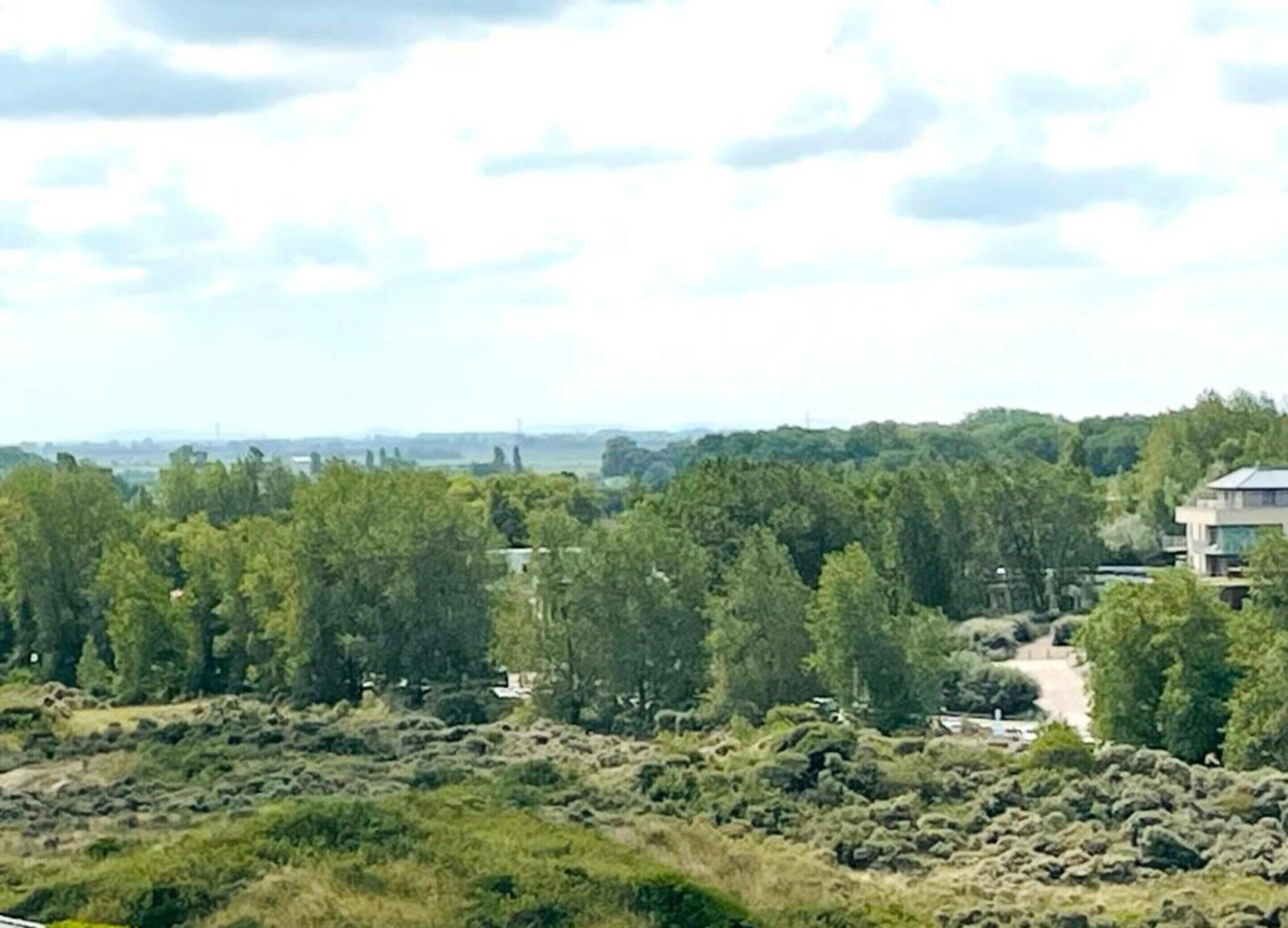 A view of a residential area with a modern house surrounded by dense greenery and trees.