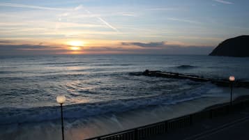 Vista desde la propiedad