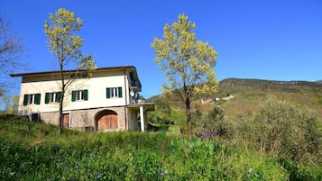 Esterni