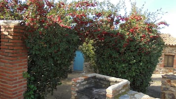 Deluxe House, 2 Bedrooms | Garden