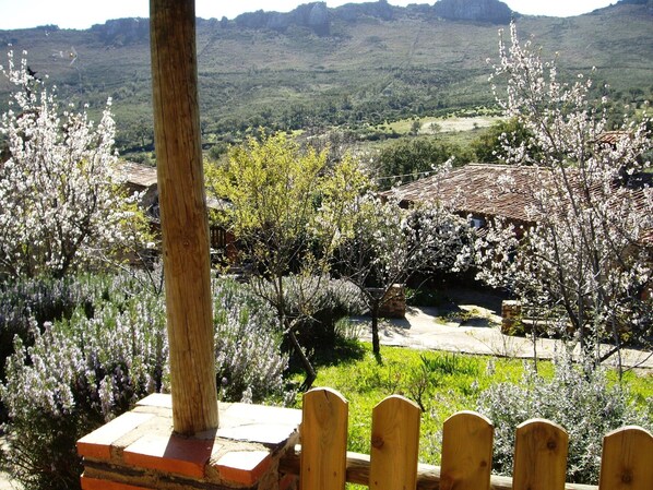 Deluxe House, 2 Bedrooms | View from property - Modern Farmhouse in Valencia de Alcantara With Pool (Valencia de Alcantara)