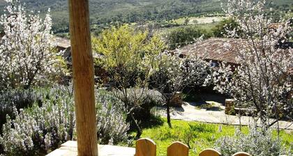 Modern Farmhouse in Valencia de Alcantara With Pool