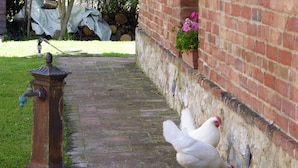 A pathway with a water spigot and a brick wall with a flower pot.
