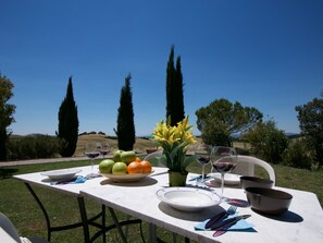 An outdoor dining table set with fruits, wine glasses, and a vase of flowers, overlooking a scenic landscape. - Lovely Farmhouse in Tuscany With Panoramic View (Castelnuovo Berardenga)