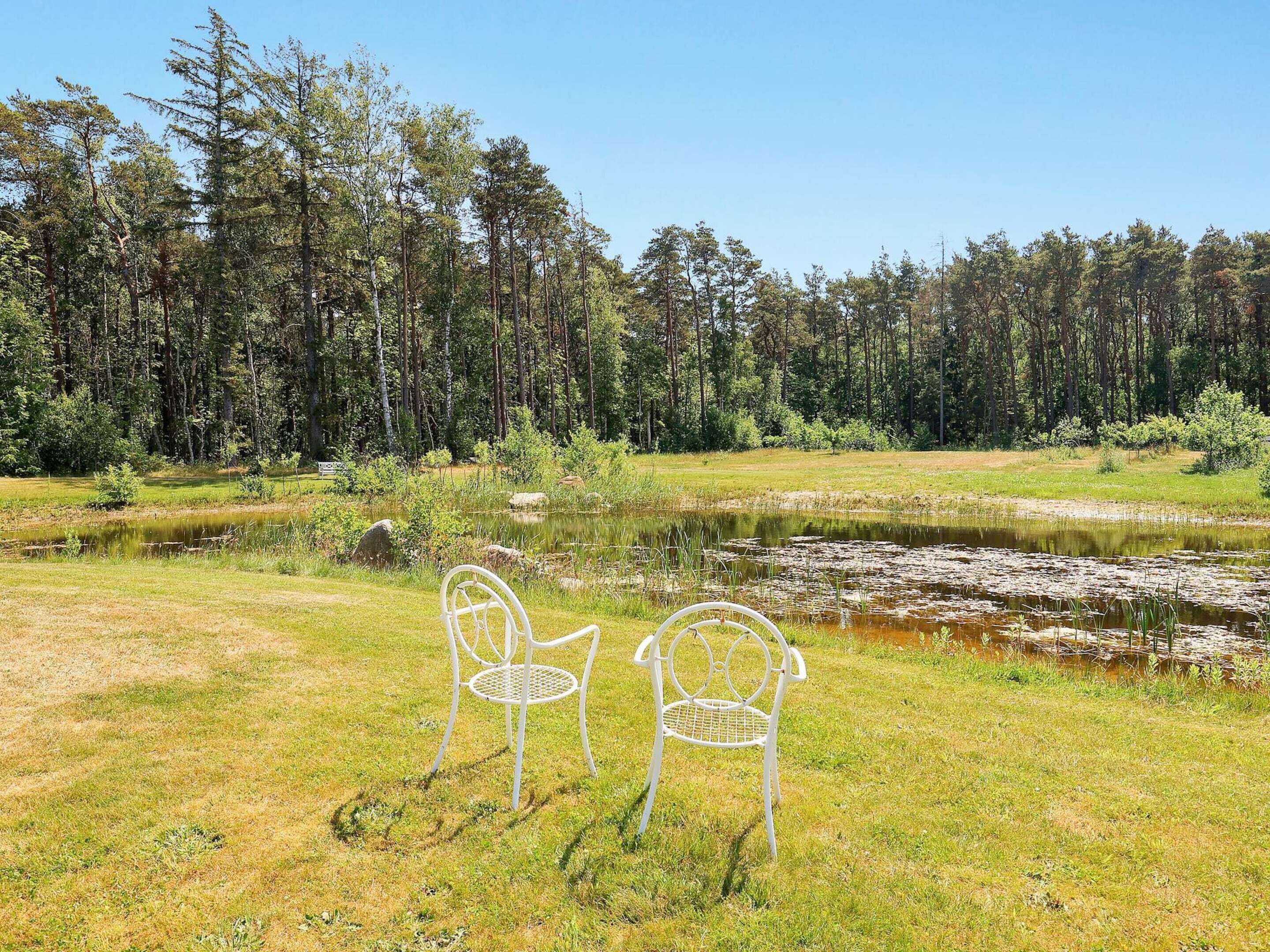 Deux chaises en métal blanc se trouvent dans un champ herbeux, avec un étang et une forêt en arrière-plan.