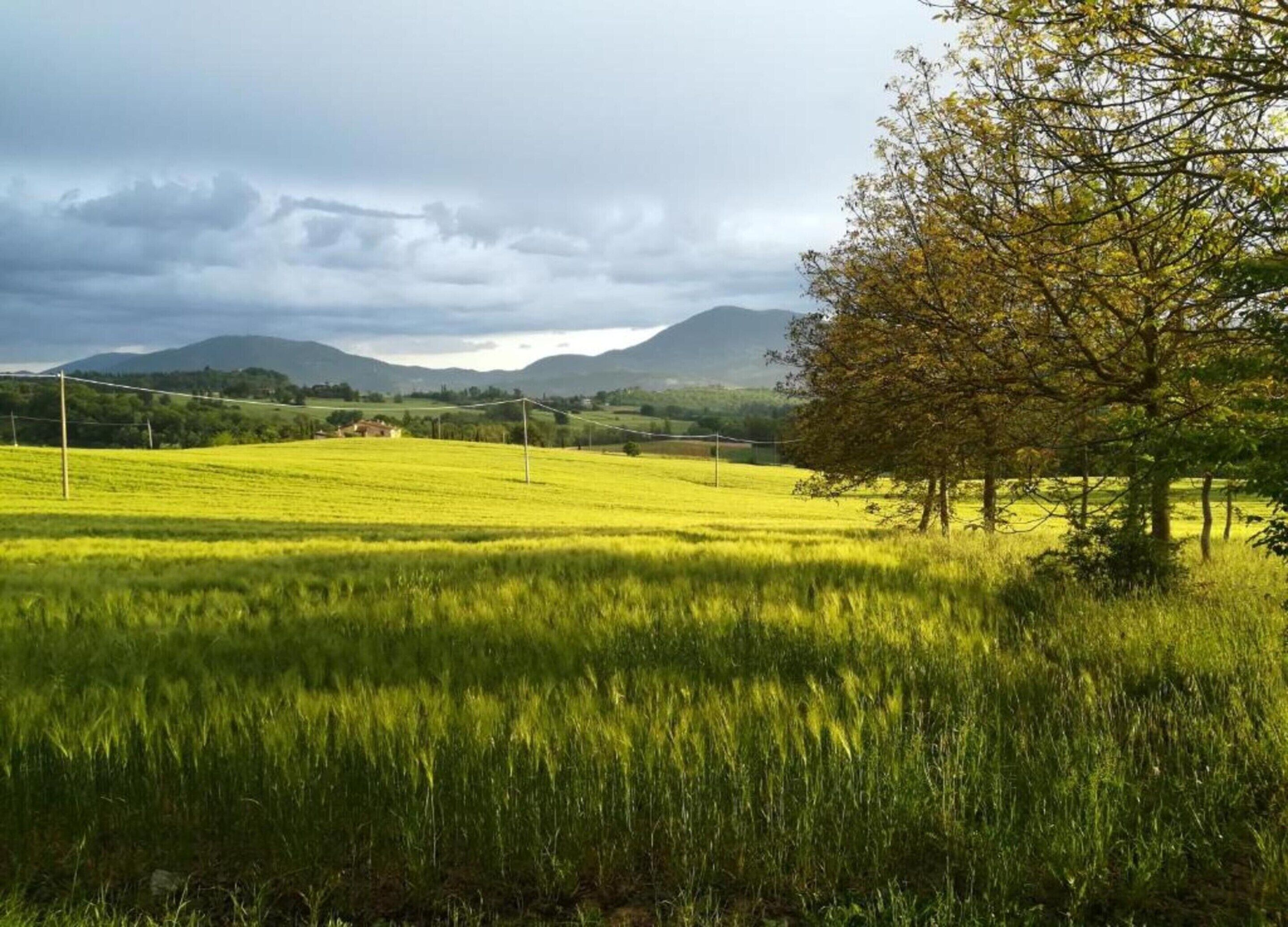 A rural landscape with a field, a tree, and distant mountains under a cloudy sky.