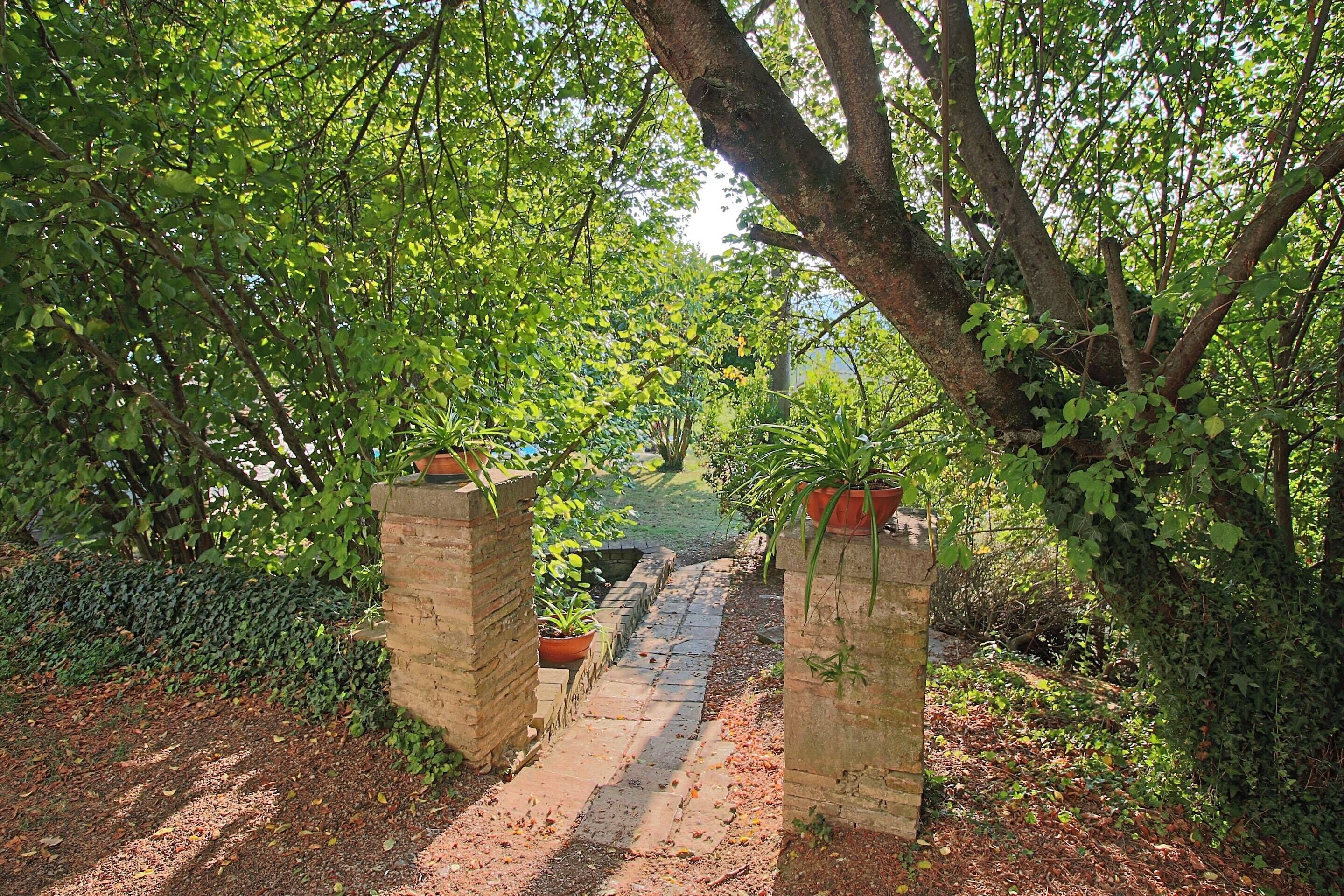 Casa luxo, 2 quartos | Jardim