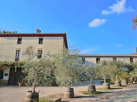 Um edifício com telhado de azulejos e várias janelas, rodeado por oliveiras em vasos e barris.