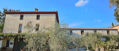 Un bâtiment doté d’un toit en tuiles, de nombreuses fenêtres et d’une cour pavée agrémentée de plantes en pot.