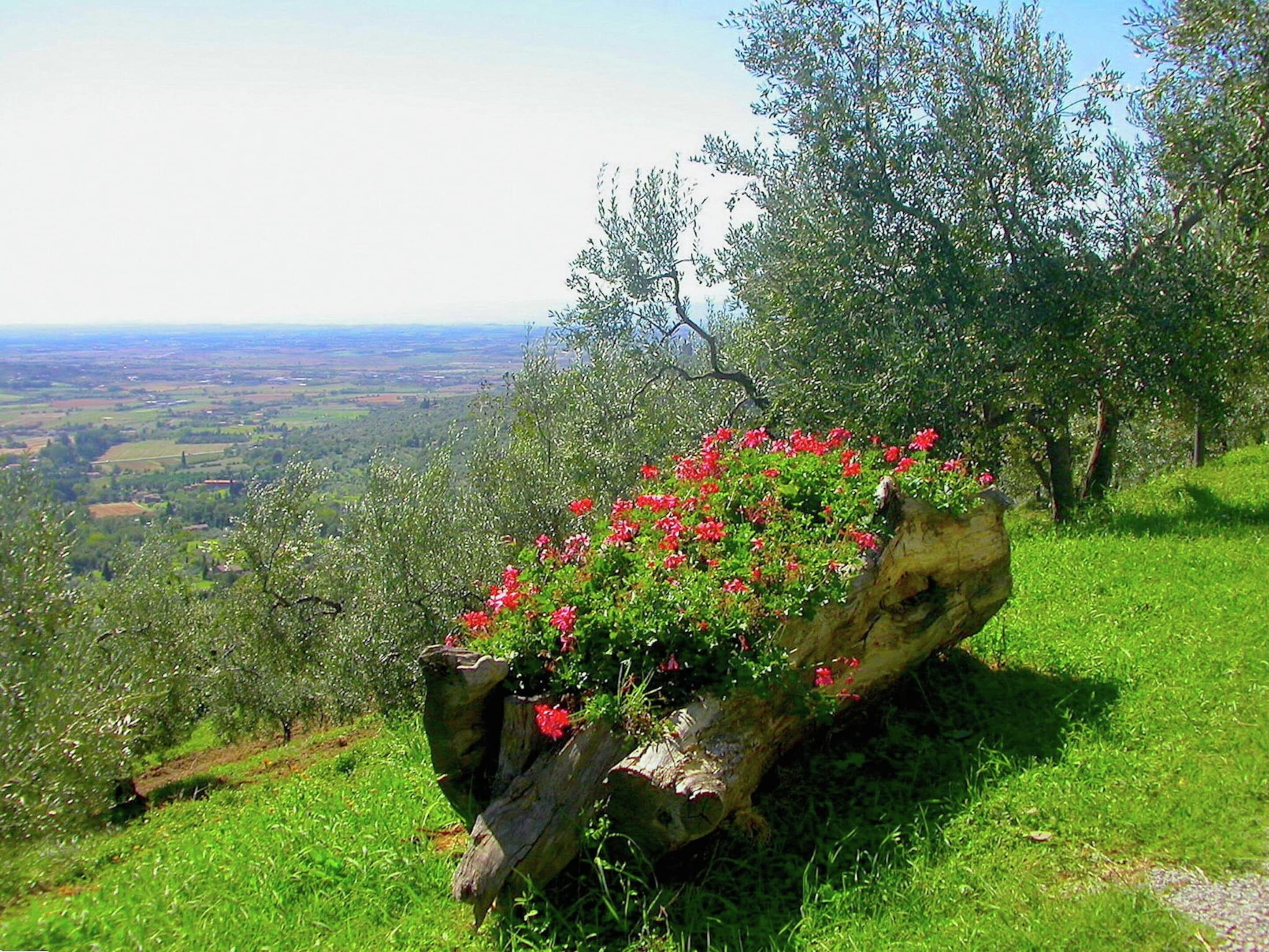 A stone planter with red flowers on a grassy hillside with a view of a valley.