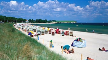Comfort-Apartment, 1 Schlafzimmer | Blick von der Unterkunft