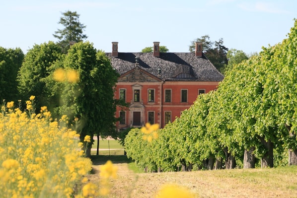 Un grand bâtiment rouge à la façade symétrique, doté d’une entrée centrale, et entouré d’arbres verdoyants et d’un champ de fleurs jaunes.