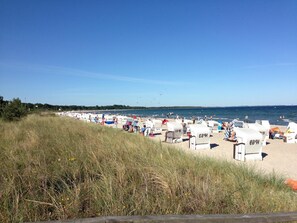 A beach with rows of white beach chairs and umbrellas, a grassy area in the foreground, and the sea in the background. - Moderne Ferienwohnung in Kluetz in Strandnahe (Klütz)