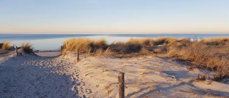 A sandy beach with dunes and a wooden fence.