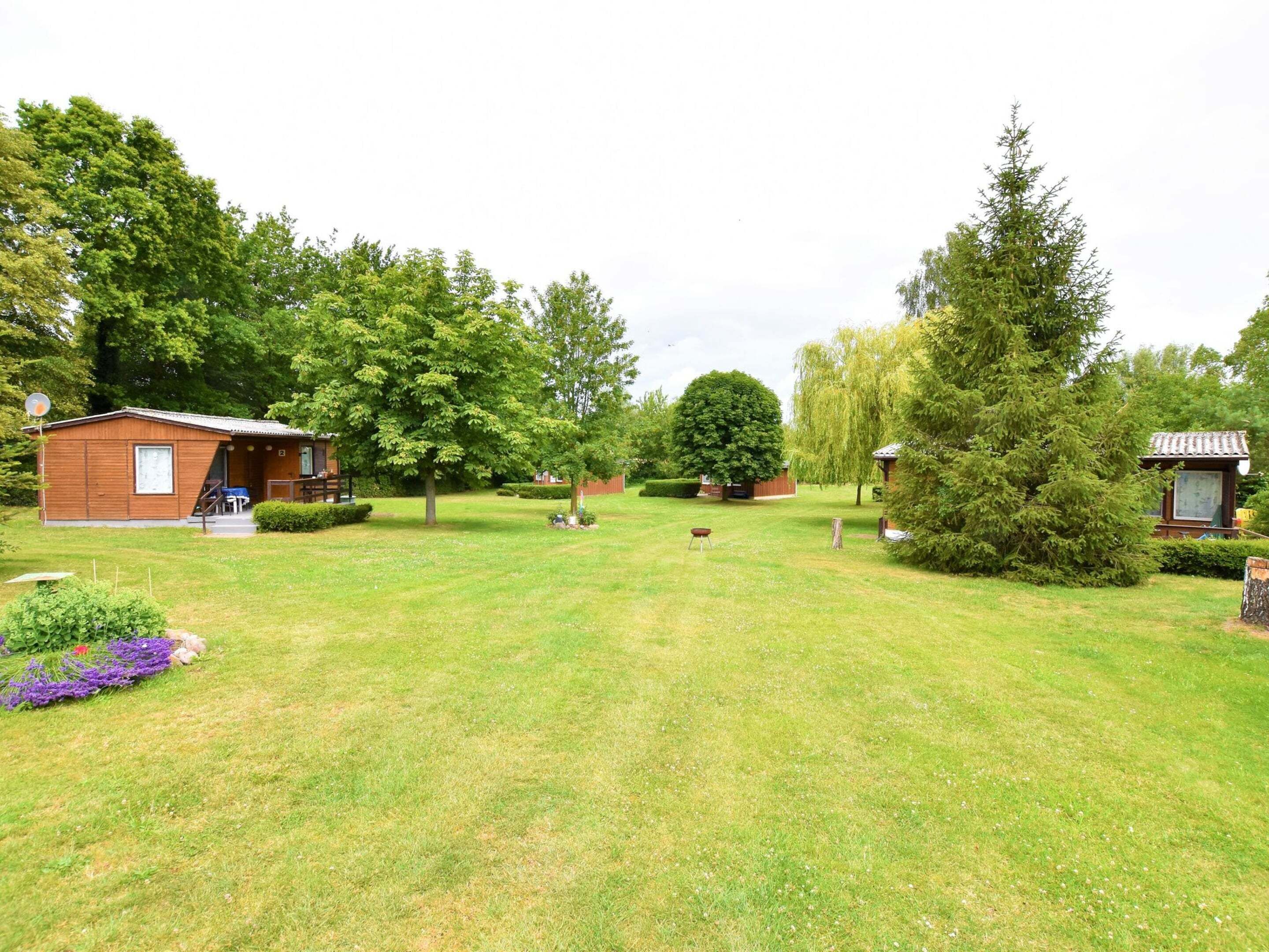 Een grasveld met een klein houten huisje, een picknicktafel en een grote boom.