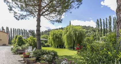 Holiday Home in Montopoli Valdarno With Pool