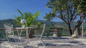 A patio with a table and chairs, a bench, and a tree with fruit.
