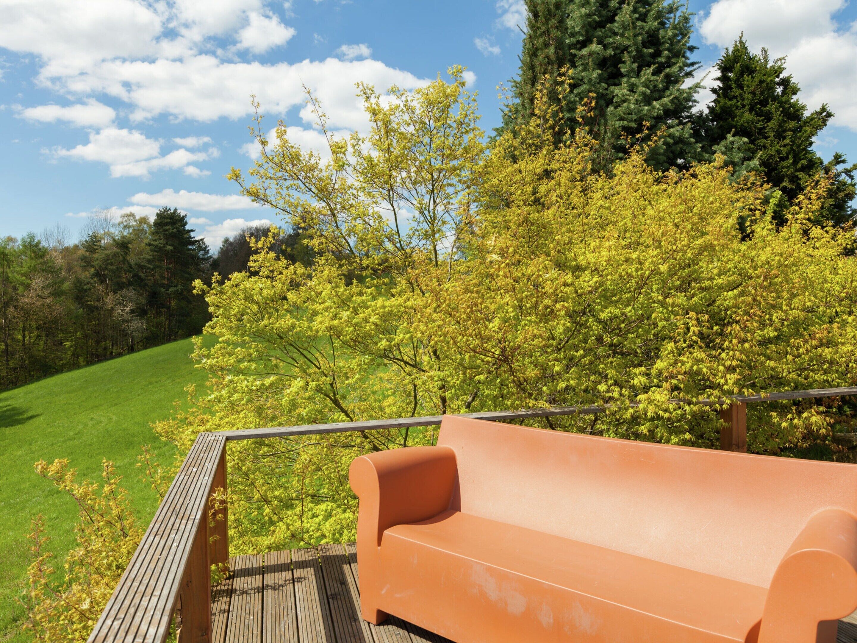 A wooden deck with a bench, surrounded by lush greenery and trees.