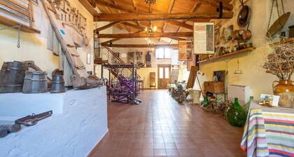 Ancient Holiday Home in the Countryside of Stilo With Garden