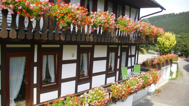 Un bâtiment traditionnel à colombages, avec des jardinières remplies de fleurs sur le balcon.