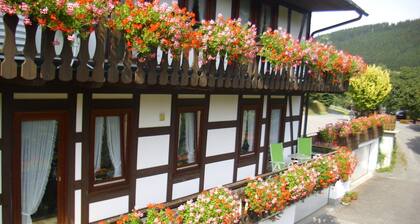 Modern Apartment in Sauerland With Balcony