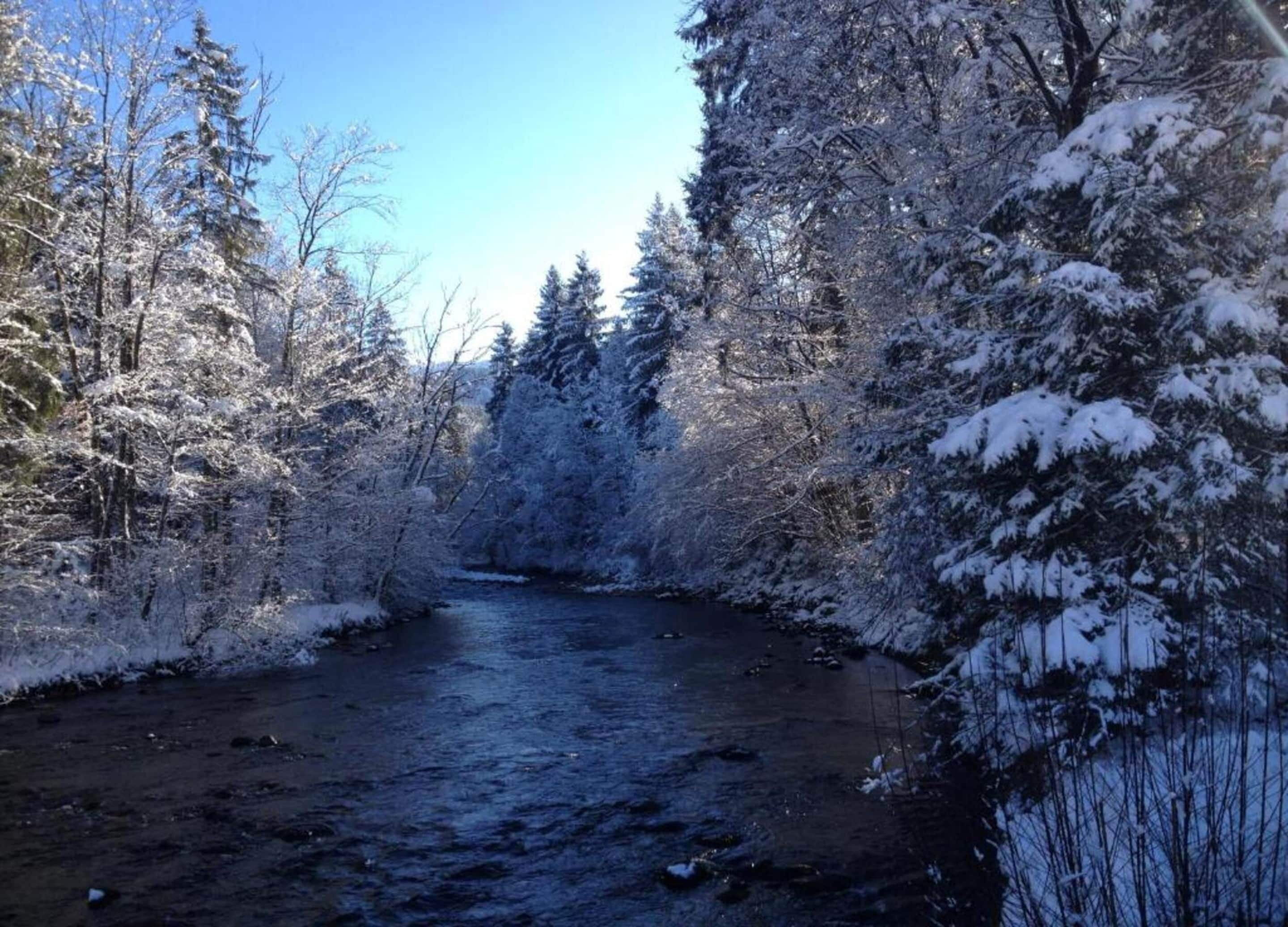 A river flowing through a snowy forest.