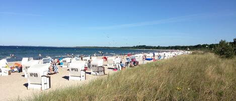 Vista desde la propiedad