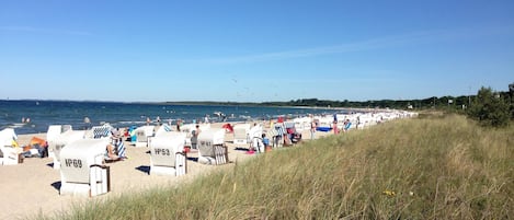 Classic Apartment, 1 Bedroom | View from property