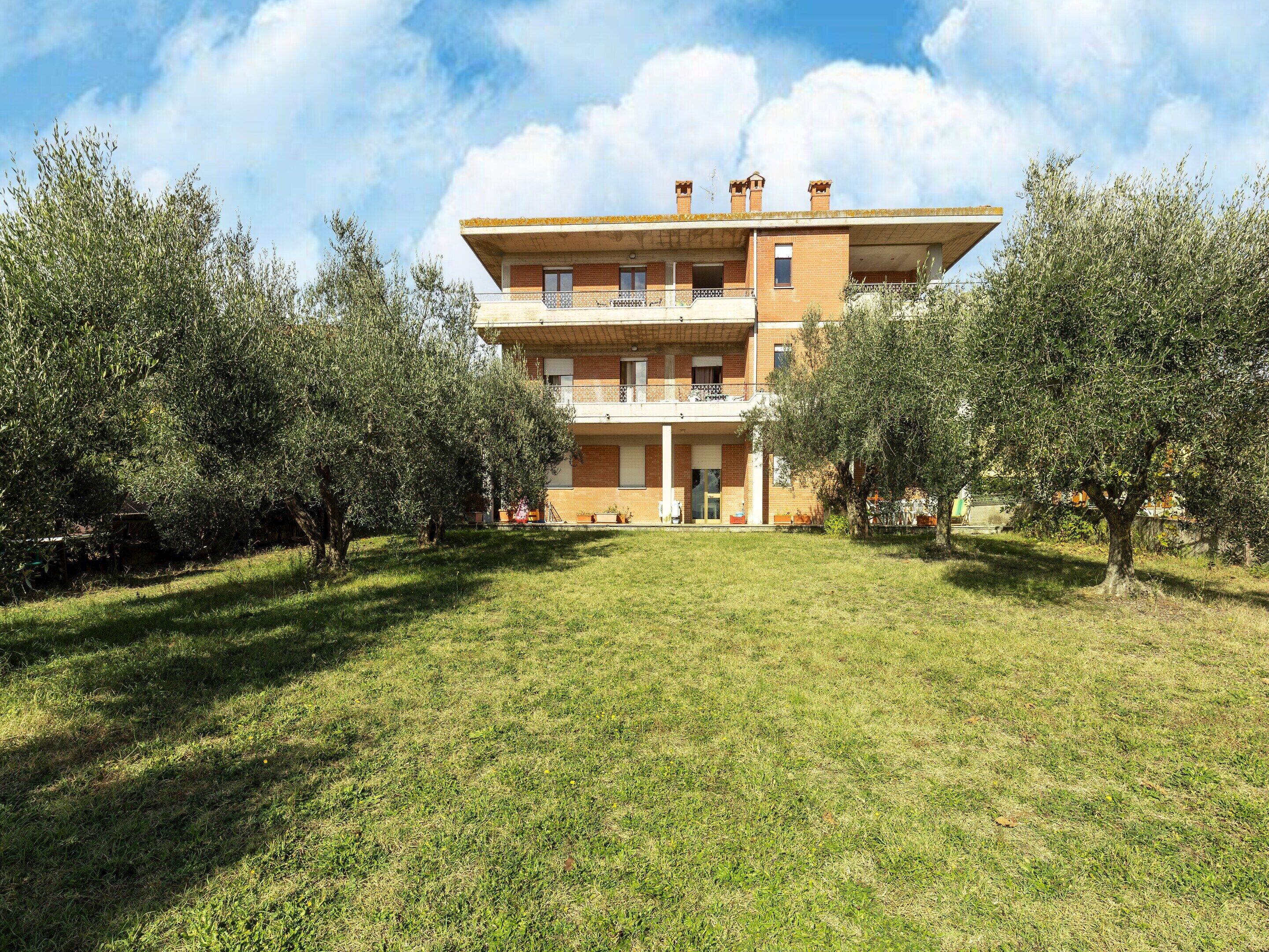 A two-story building with a flat roof, surrounded by olive trees and a grassy lawn.
