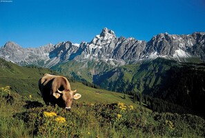 Alpehytte – deluxe, flere soverom | Utsikt fra overnattingsstedet