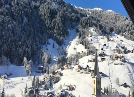 Vista desde la propiedad