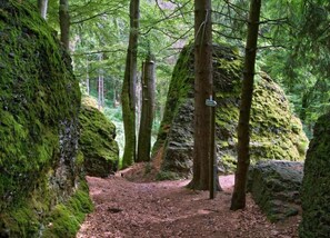 Casa clássico, 2 quartos | Vista da propriedade