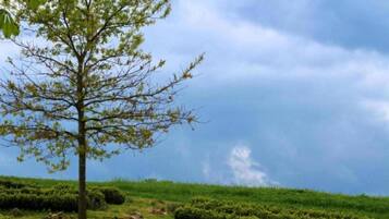 Classic House, 2 Bedrooms | Pemandangan dari hartanah