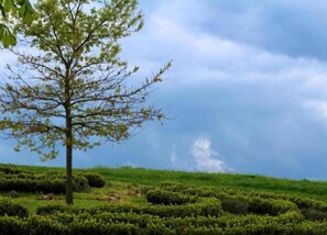 Quang cảnh nhìn từ nơi lưu trú