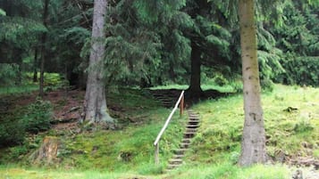 Rumah Klasik, 1 kamar tidur | Pemandangan dari properti