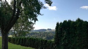 Un espacio cubierto de césped con un árbol y un seto.