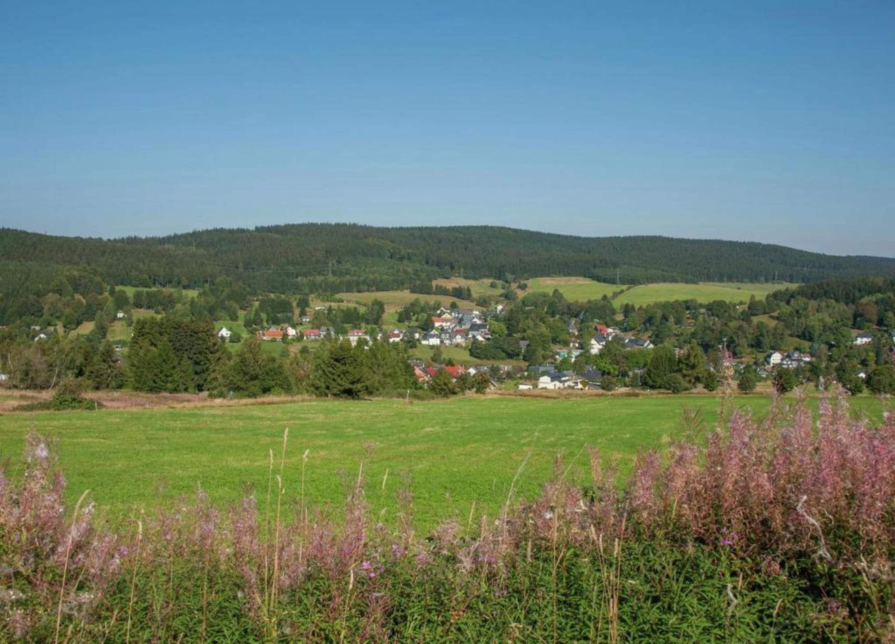 Un paisaje rural con un pequeño pueblo, campos verdes y colinas boscosas.