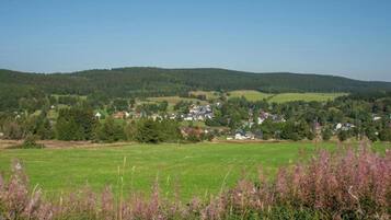 Un paisaje rural con un pequeño pueblo, campos verdes y colinas boscosas.