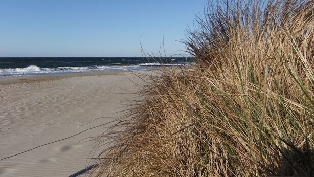 A sandy beach with tall grass in the foreground and the ocean in the background. - Inviting Apartment in Wendelstorf With Communal Garden (Bastorf)