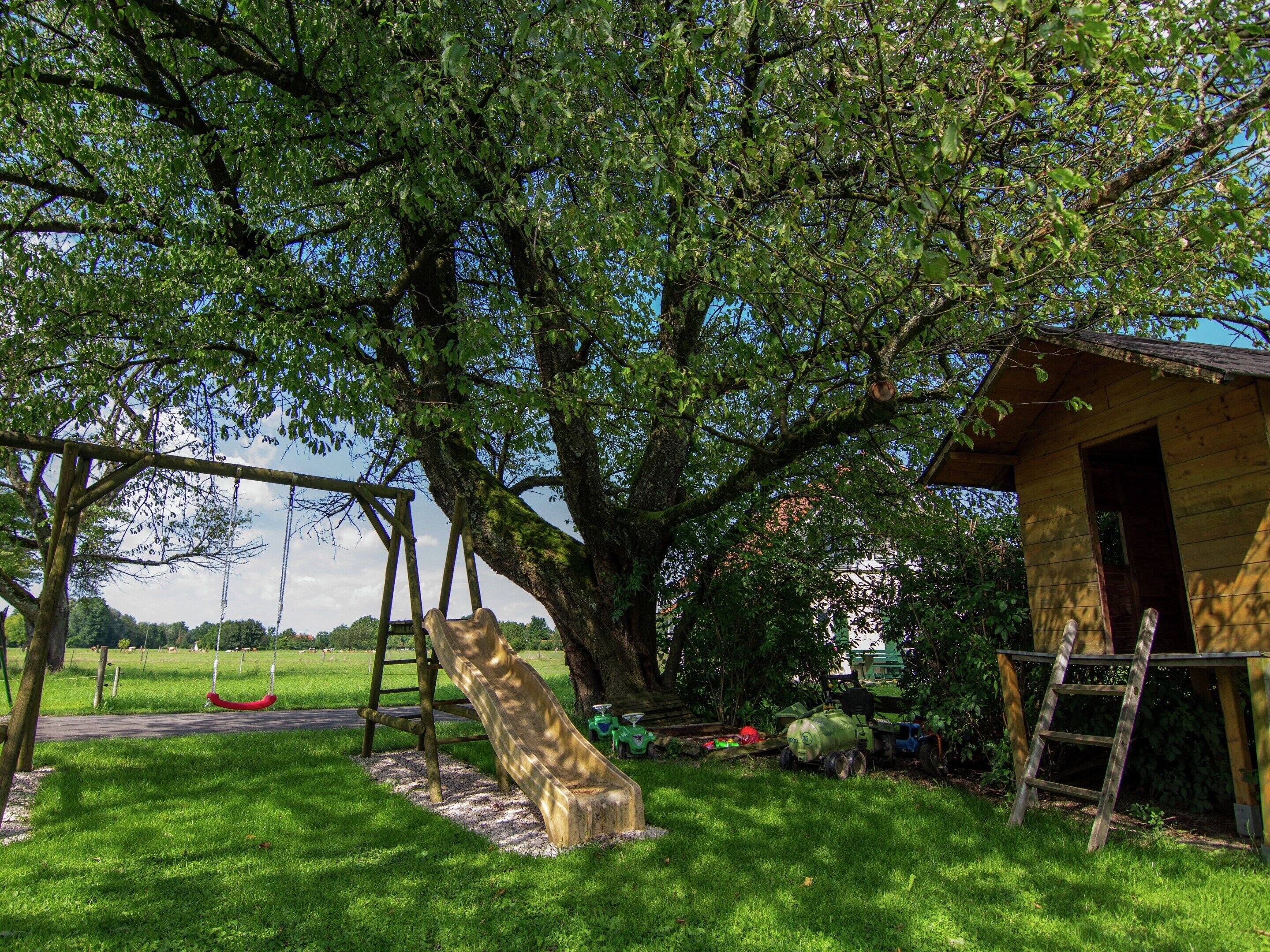 A playground with a slide and swings, surrounded by trees and a small wooden structure.