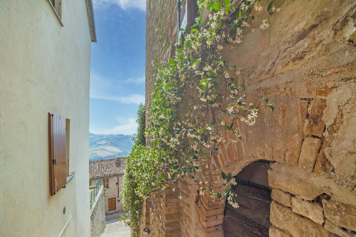 A narrow alleyway with a stone wall on one side and a white building on the other.