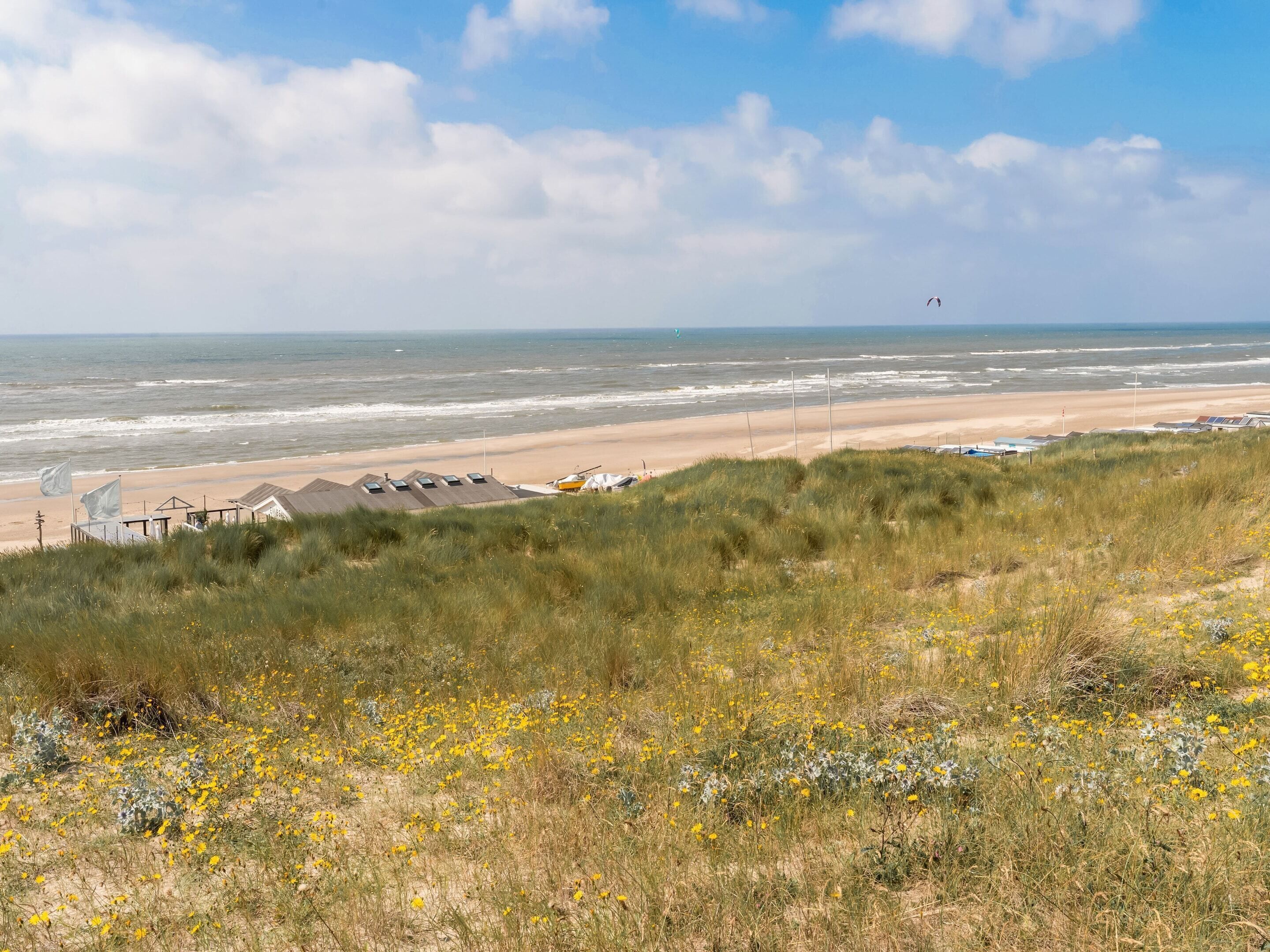 Un paisaje costero con una playa, dunas cubiertas de hierba y un cielo despejado.