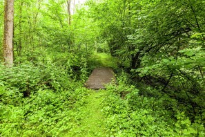 舒适公寓, 1 间卧室 | 住宿景观