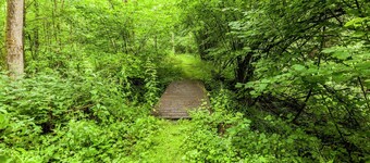 House Situated on a Magnificent Estate