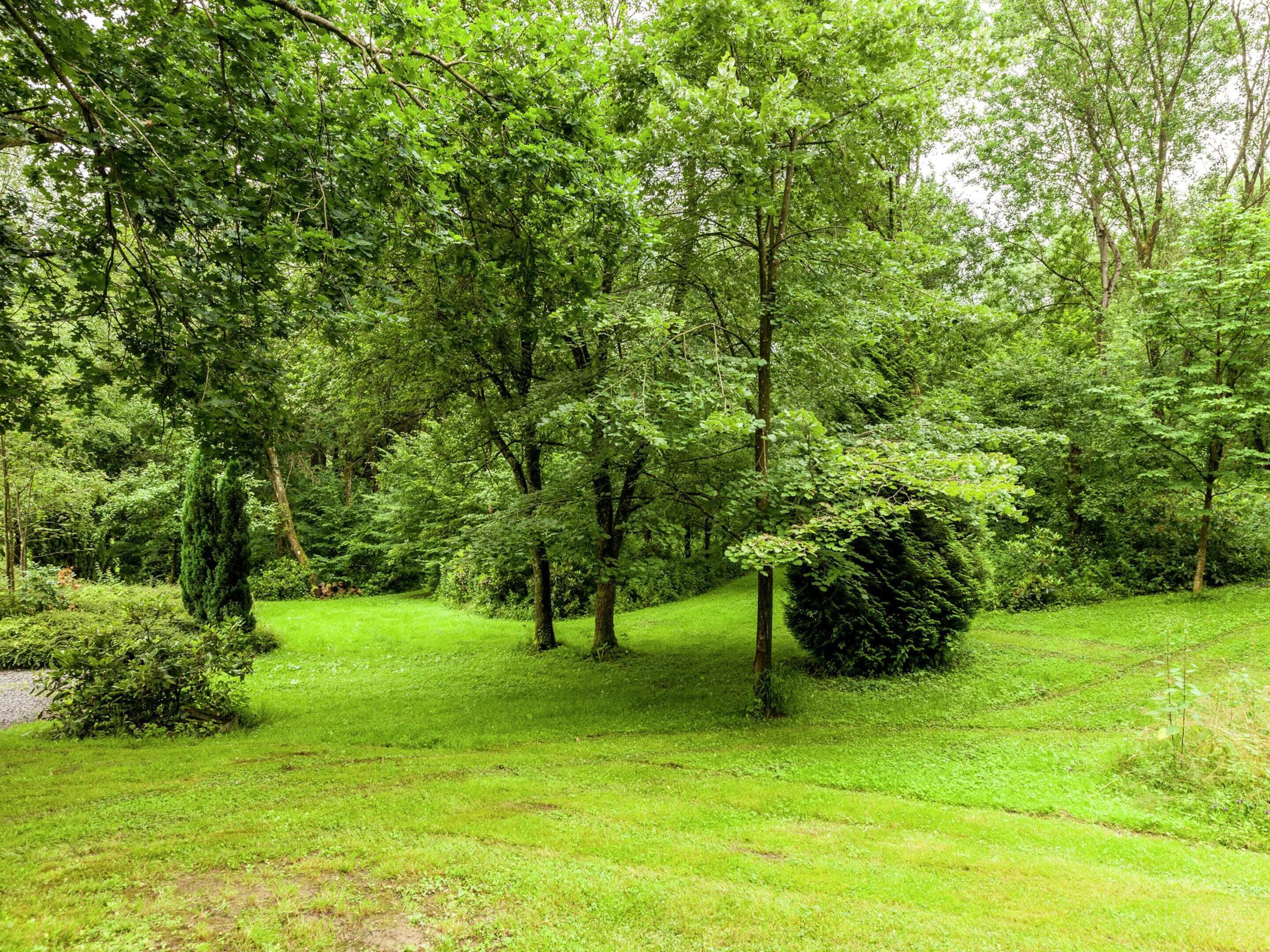 A lush green park with trees and grass.
