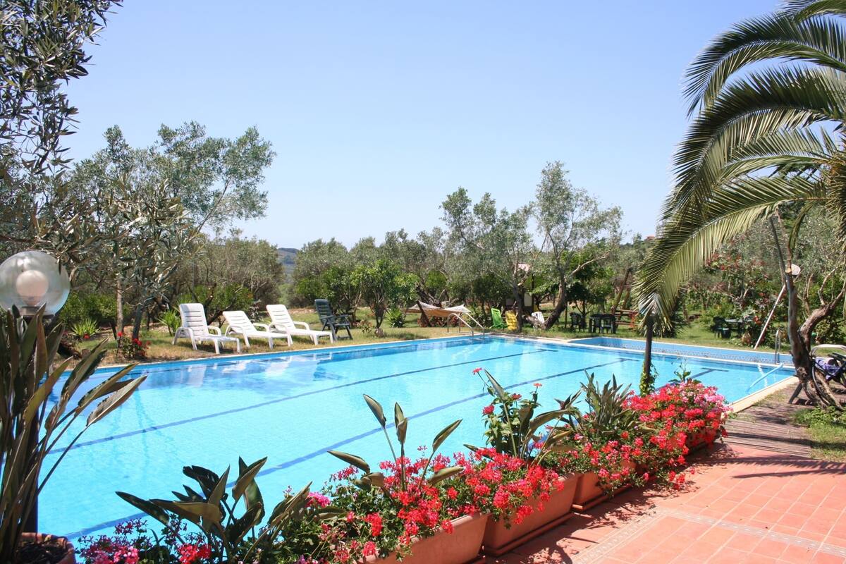 Comfort House, 1 Bedroom | Pool | Indoor pool, outdoor pool