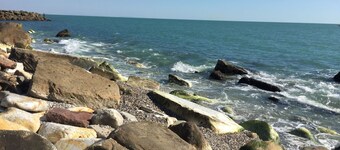 Amazing Holiday Home Near Pet-friendly Beach